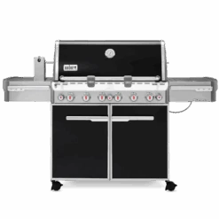 Summit® E-670 GBS Gasbarbecue