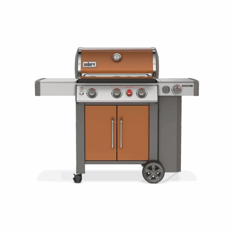 Goedkope BBQ Winkel -Goedkope BBQ Winkel 2